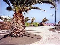 Costa Teguise - Lanzarote